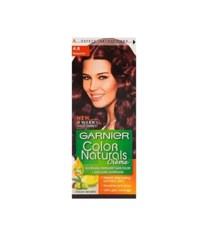 GARNIER COLOR NATURAL 4.3